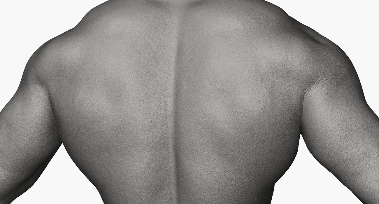 Retopolosied male 3d model for zbrush download